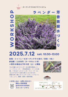 ラベンダー芳香蒸留水づくり
