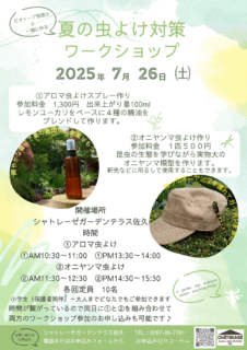 夏の虫よけ対策ワークショップ