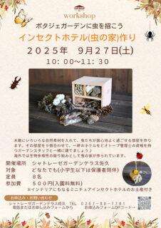ポタジェガーデンに虫を招こう　インセクトホテル(虫の家)作り