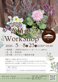 はじめての寄せ植えワークショップ