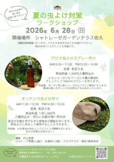 夏の虫よけ対策ワークショップ